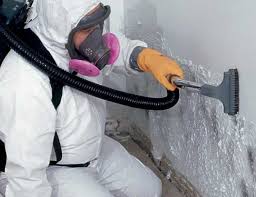 Best Water Damage & Mold Remediation  in Chandler, AZ